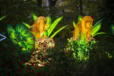 Wystawa Garden of Lights: Dzika Azja we wrocławskim zoo, październik 2024